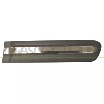 Baguette et bande protectrice, porte arrière droit PRASCO FT0401463