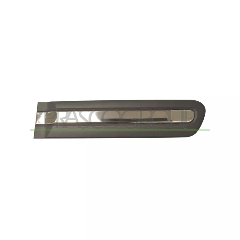 Baguette et bande protectrice, porte arrière droit PRASCO FT0401463
