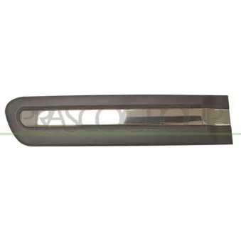 Baguette et bande protectrice, porte arrière gauche PRASCO FT0401464