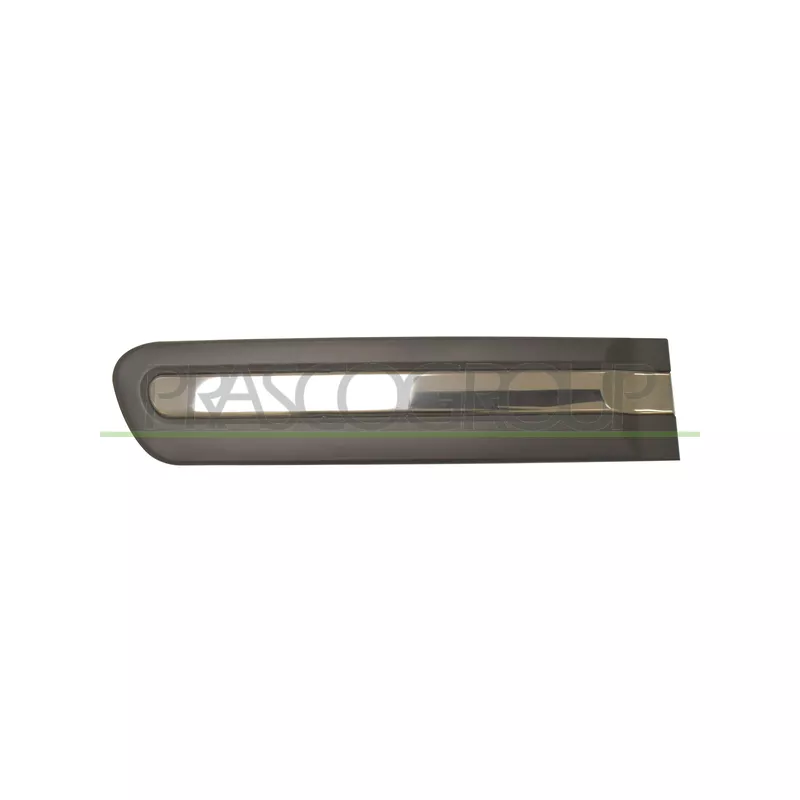 Baguette et bande protectrice, porte arrière gauche PRASCO FT0401464