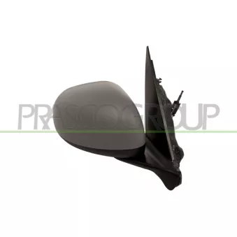 Rétroviseur extérieur PRASCO FT0407003