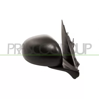 Rétroviseur extérieur PRASCO FT0407013