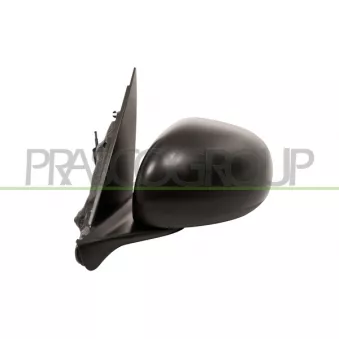 Rétroviseur extérieur PRASCO FT0407014