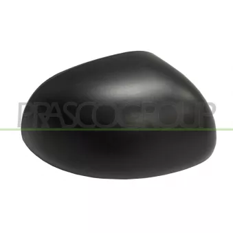 Revêtement, rétroviseur extérieur PRASCO FT0407403