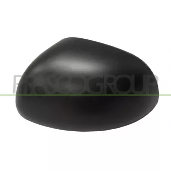 Revêtement, rétroviseur extérieur PRASCO FT0407404