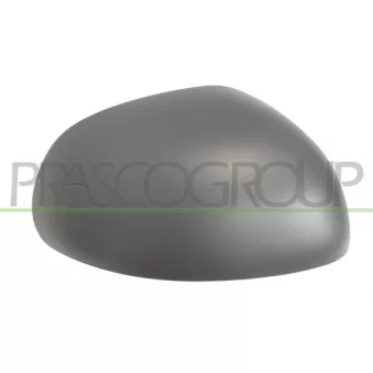 Revêtement, rétroviseur extérieur PRASCO FT0407413P