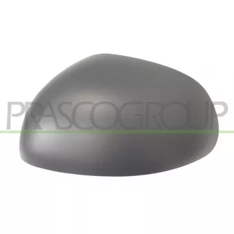 Revêtement, rétroviseur extérieur PRASCO FT0407414P