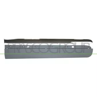 Baguette et bande protectrice, porte avant droit PRASCO FT0441403