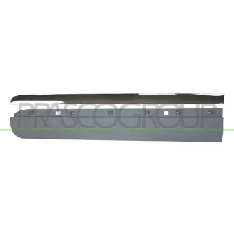 Baguette et bande protectrice, porte avant gauche PRASCO FT0441404