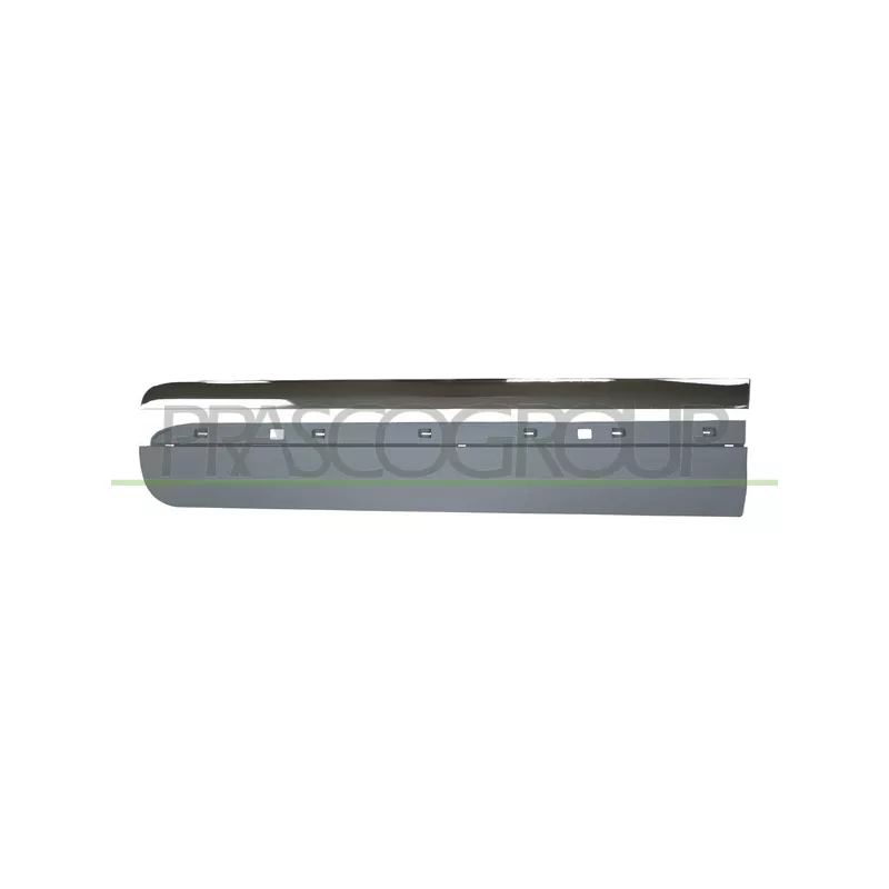 Baguette et bande protectrice, porte avant gauche PRASCO FT0441404