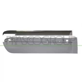 Baguette et bande protectrice, porte arrière droit PRASCO FT0441453