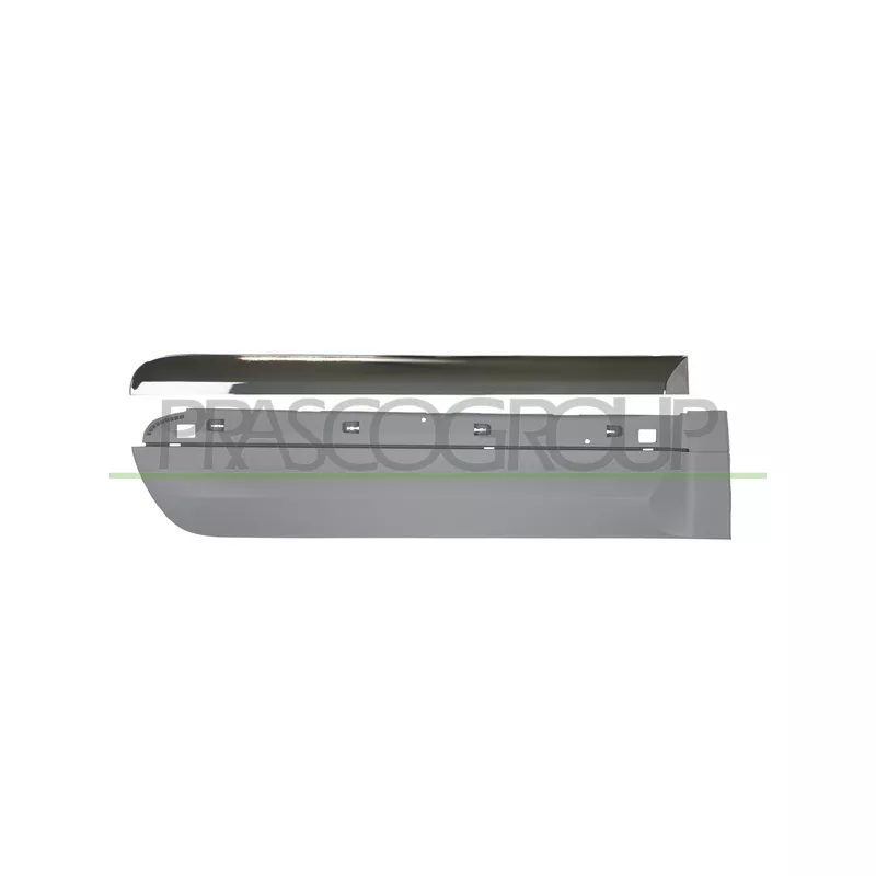 Baguette et bande protectrice, porte arrière droit PRASCO FT0441453