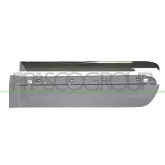 Baguette et bande protectrice, porte arrière gauche PRASCO FT0441454