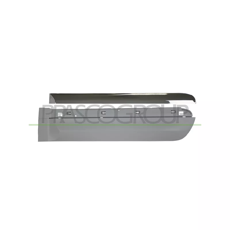 Baguette et bande protectrice, porte arrière gauche PRASCO FT0441454