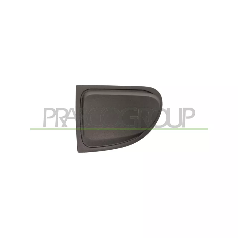 Baguette et bande protectrice, grille de radiateur avant gauche PRASCO FT0602116