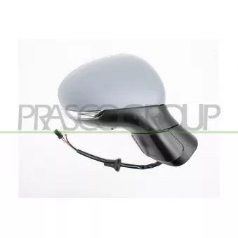 Rétroviseur extérieur PRASCO FT0607313