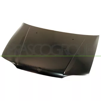 Capot-moteur PRASCO FT1133100