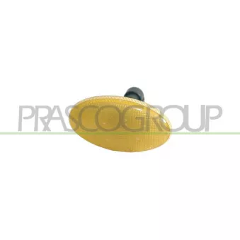 Feu clignotant PRASCO FT1134039