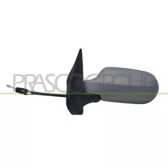 Rétroviseur extérieur PRASCO FT1148124