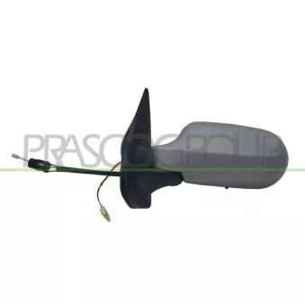 Rétroviseur extérieur PRASCO FT1148125