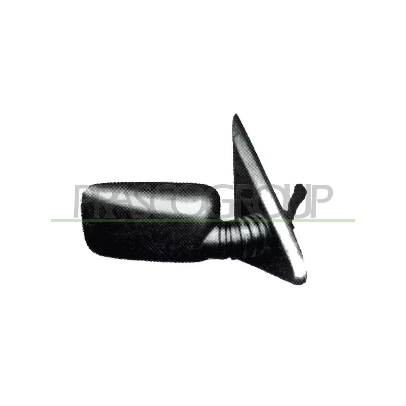 Rétroviseur extérieur PRASCO FT1217103