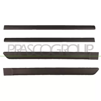 Baguette et bande protectrice, porte PRASCO FT1221400