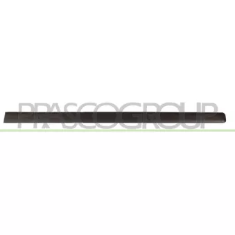 Baguette et bande protectrice, porte avant droit PRASCO FT1221403