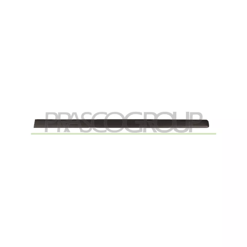 Baguette et bande protectrice, porte avant droit PRASCO FT1221403