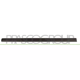 Baguette et bande protectrice, porte avant gauche PRASCO FT1221404