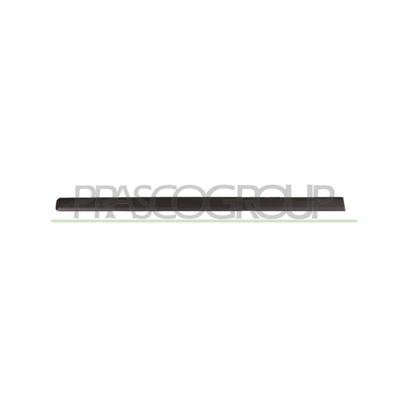 Baguette et bande protectrice, porte avant gauche PRASCO FT1221404