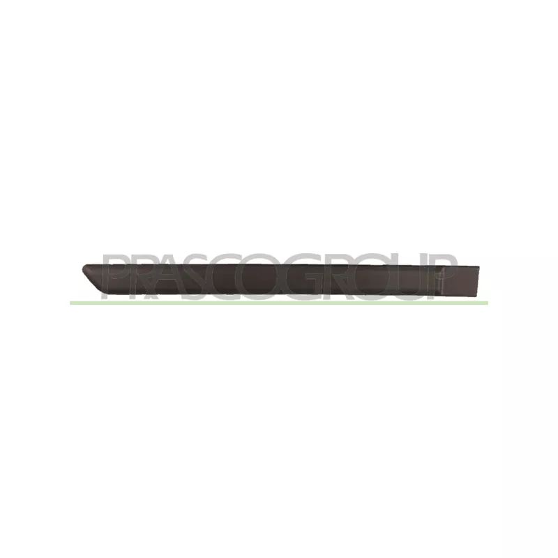 Baguette et bande protectrice, porte arrière droit PRASCO FT1221453