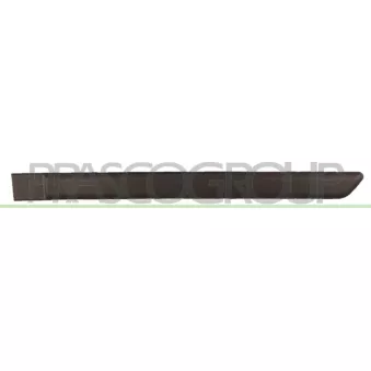 Baguette et bande protectrice, porte arrière gauche PRASCO FT1221454