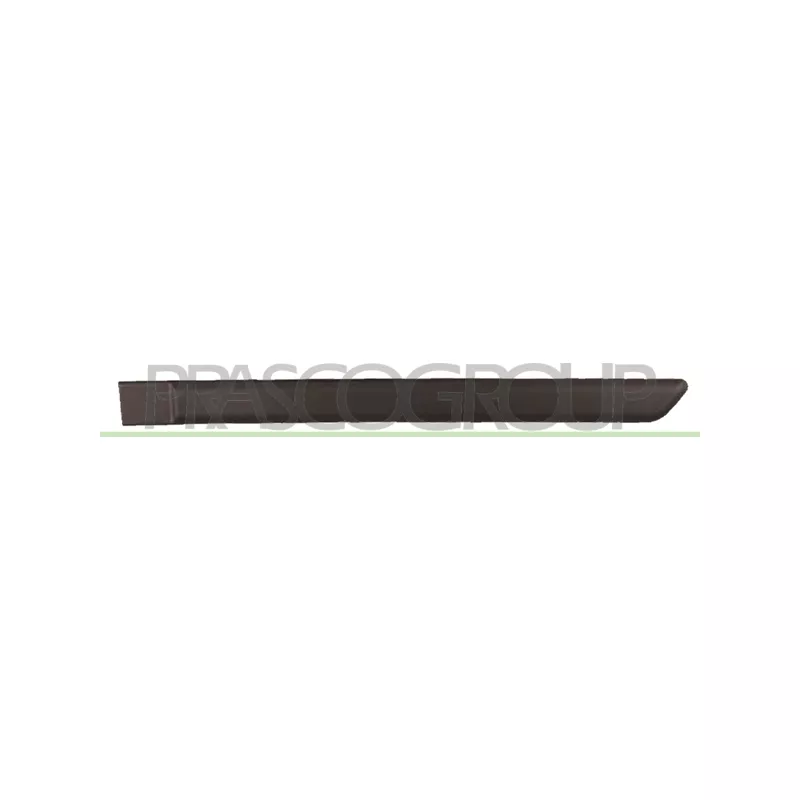 Baguette et bande protectrice, porte arrière gauche PRASCO FT1221454