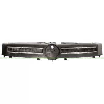 Grille de radiateur PRASCO FT1222021