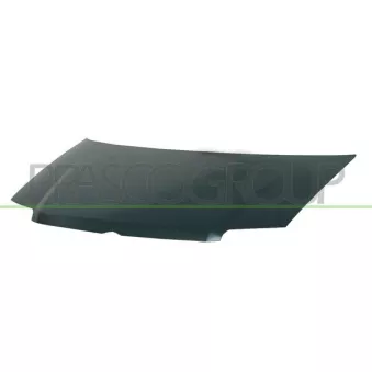 Capot-moteur PRASCO FT1223100