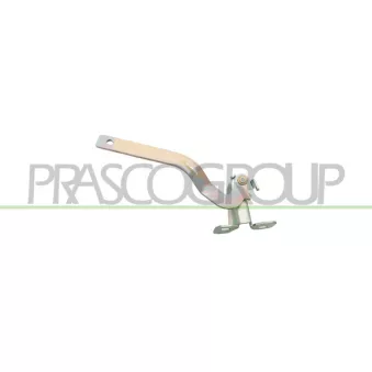 Charnière, capot-moteur avant droit PRASCO FT1223703