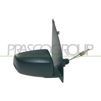 Rétroviseur extérieur PRASCO FT1227313P
