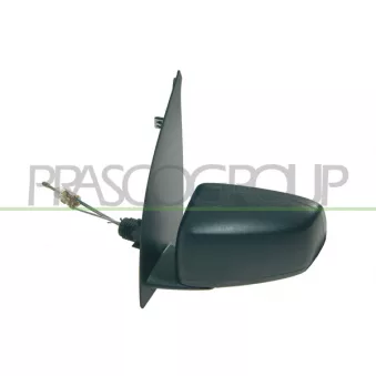 Rétroviseur extérieur PRASCO FT1227314P