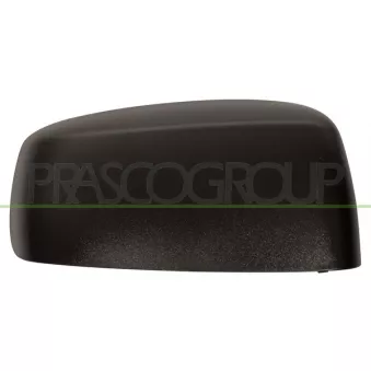 Revêtement, rétroviseur extérieur PRASCO FT1227403