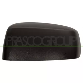 Revêtement, rétroviseur extérieur PRASCO FT1227404