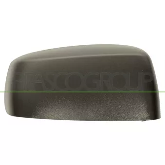 Revêtement, rétroviseur extérieur PRASCO FT1227413