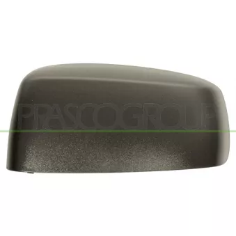 Revêtement, rétroviseur extérieur PRASCO FT1227414