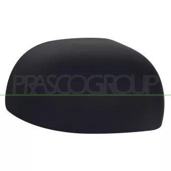 Revêtement, rétroviseur extérieur PRASCO FT1237403