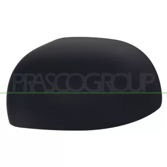 Revêtement, rétroviseur extérieur PRASCO FT1237404