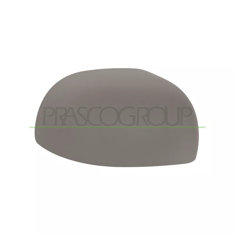 Revêtement, rétroviseur extérieur PRASCO FT1237413