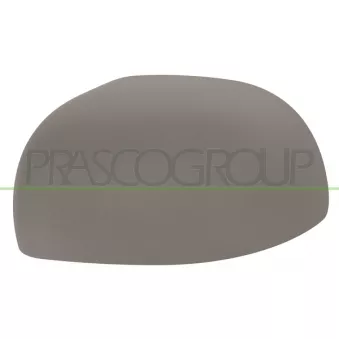 Revêtement, rétroviseur extérieur PRASCO FT1237414