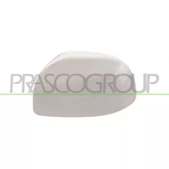 Revêtement, rétroviseur extérieur PRASCO FT1237416