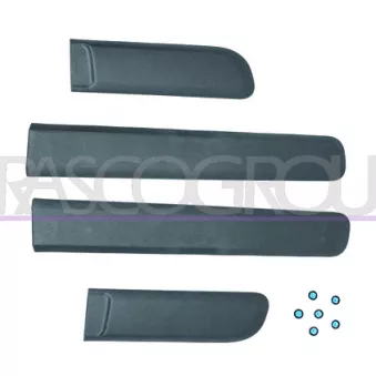Baguette et bande protectrice, porte PRASCO FT1241400