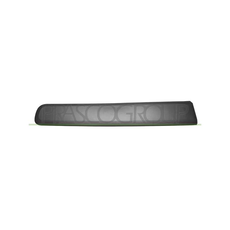 Baguette et bande protectrice, porte avant droit PRASCO FT1241403