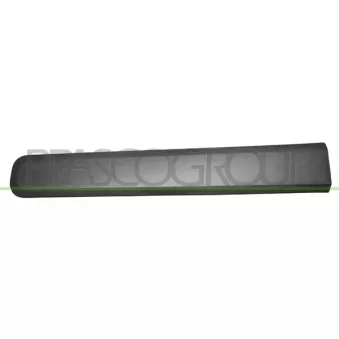 Baguette et bande protectrice, porte avant gauche PRASCO FT1241404